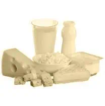 Dairy